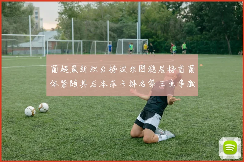 葡超最新积分榜波尔图稳居榜首葡体紧随其后本菲卡排名第三竞争激烈