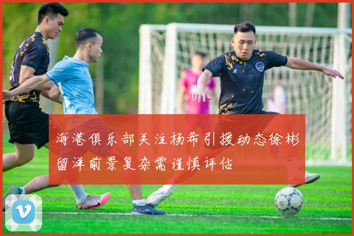 海港俱乐部关注杨希引援动态徐彬留洋前景复杂需谨慎评估